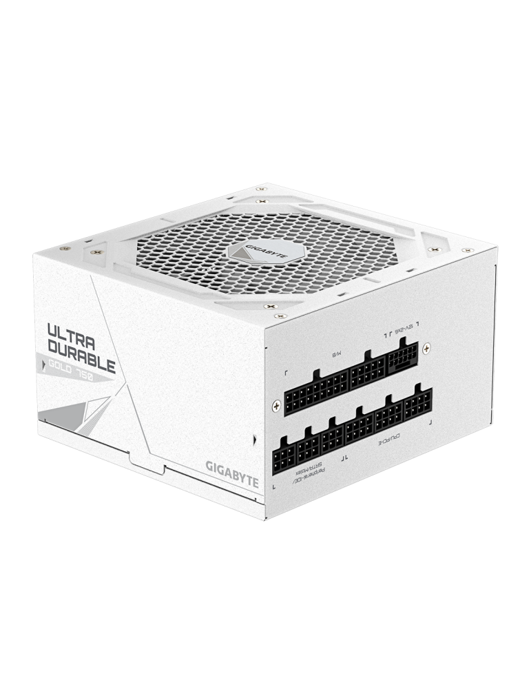 GigaByte UD750GM PG5 V2 ICE | PC-Netzteil