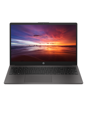 HP 250 G10 8X9Q8ES FHD IPS i5-13 8GB 256SSD W11H inkl. Windows 11 Home & Installation