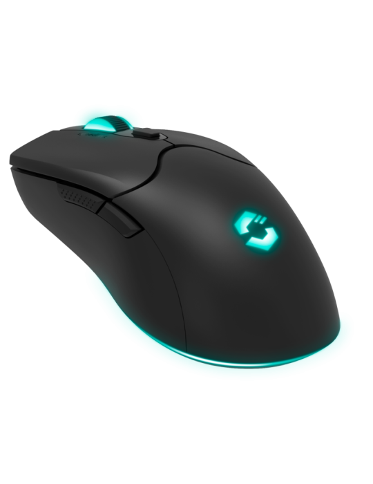 Speedlink VELOX Wiederaufladbare RGB Gaming Maus - kabellos, schwarz