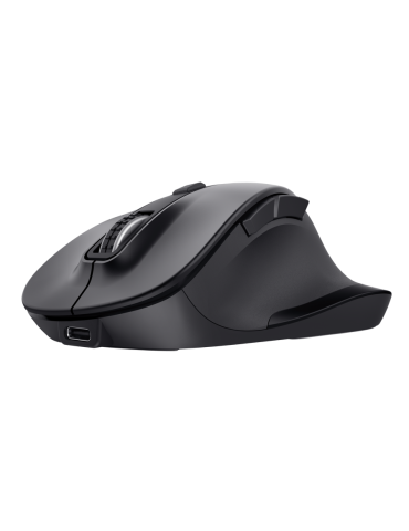 Trust Fyda Multidevice Wireless Mouse