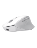 Trust Niven Comfort Multidevice Wireless Mouse - White