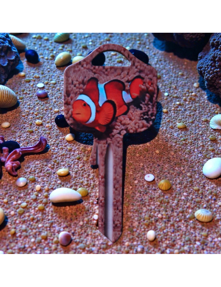Schlüsselrohling Clownfisch – Unterwasserwelt Design