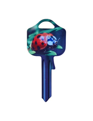 Schlüsselrohling Marienkäfer – Glücksdesign in Rot & Grün 2