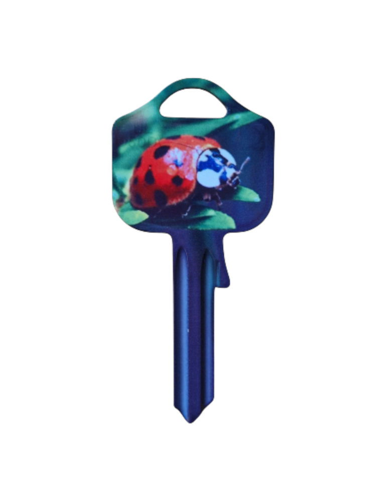 Schlüsselrohling Marienkäfer – Glücksdesign in Rot & Grün