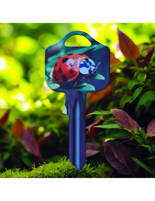 Schlüsselrohling Marienkäfer – Glücksdesign in Rot & Grün