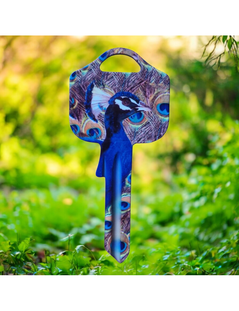 Schlüsselrohling Pfau – Farbenpracht & Exotik im Design