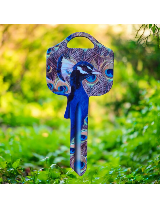 Schlüsselrohling Pfau – Farbenpracht & Exotik im Design
