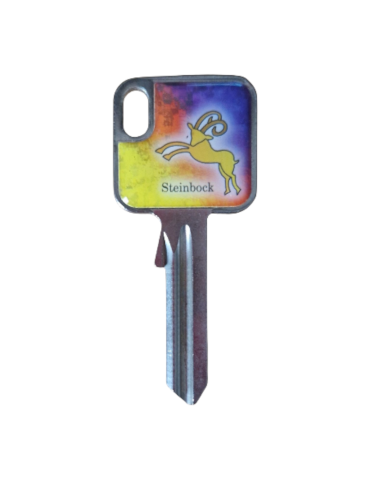 Schlüsselrohling Sternzeichen Steinbock – kraftvolles Design 2