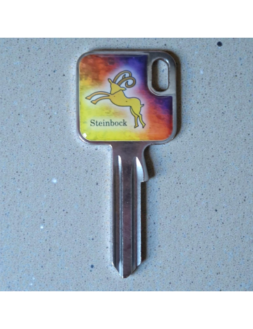 Schlüsselrohling Sternzeichen Steinbock – kraftvolles Design
