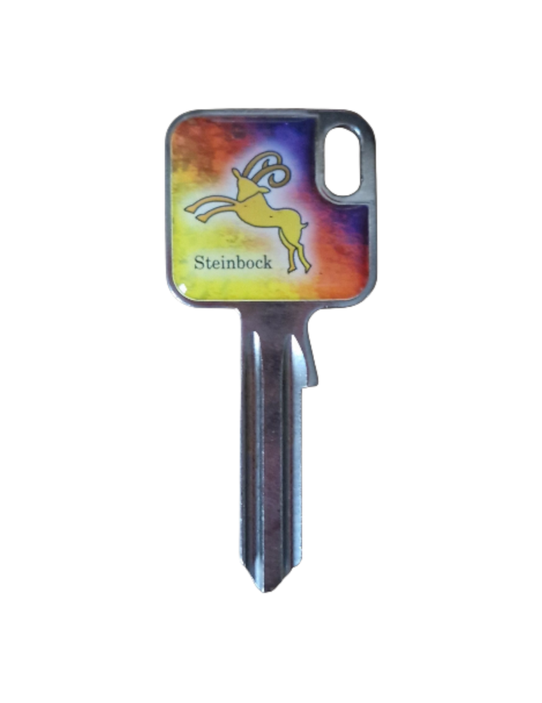 Schlüsselrohling Sternzeichen Steinbock – kraftvolles Design