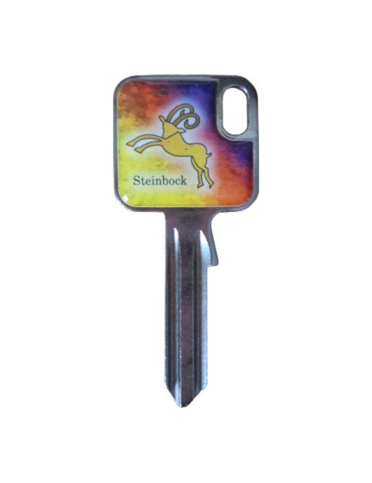 Schlüsselrohling Sternzeichen Steinbock – kraftvolles Design