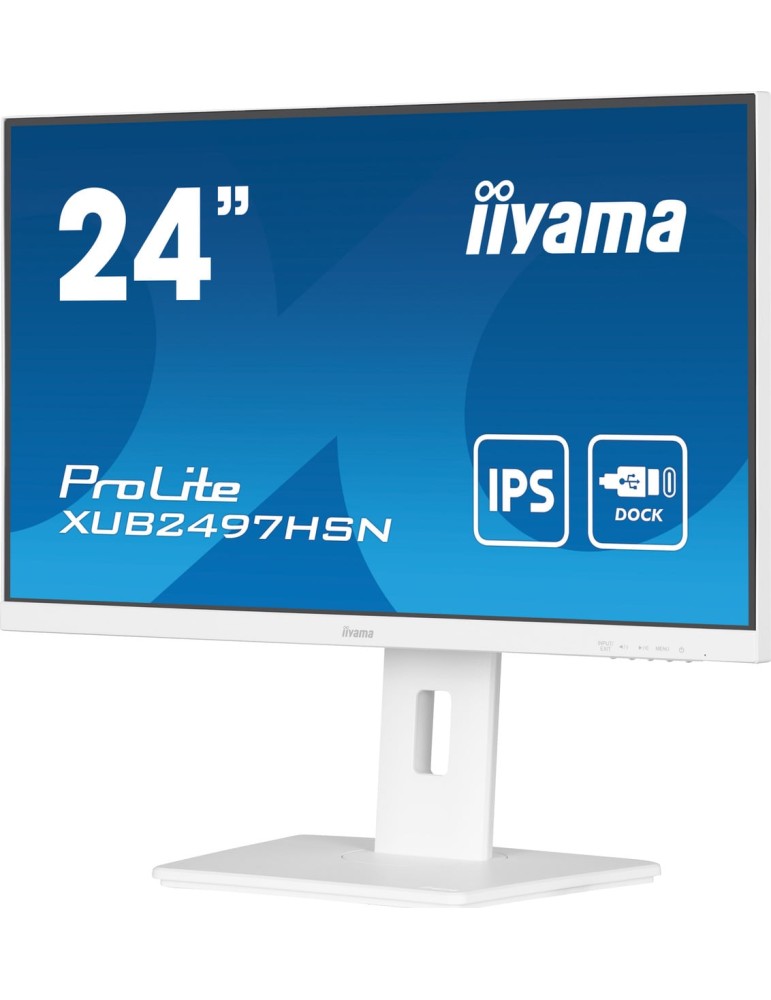 iiyama ProLite XUB2497HSN-W2