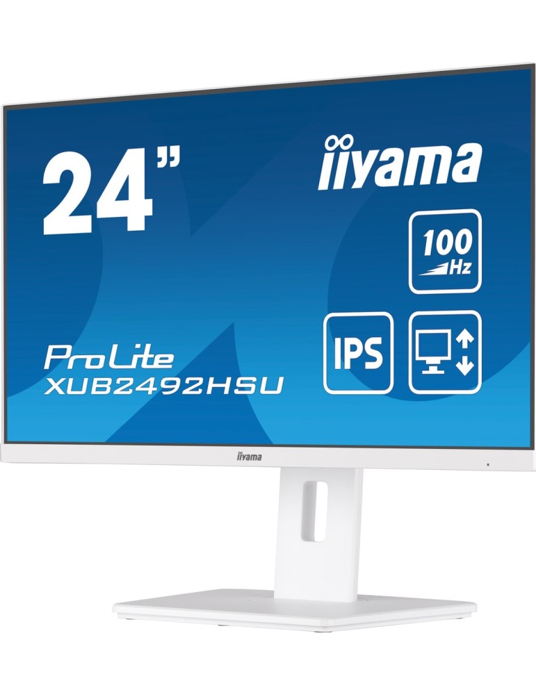 iiyama ProLite XUB2492HSU-W6