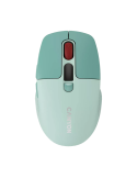 CANYON Mouse MW-26 LCD Silent Dual Mode Wireless green