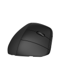 HP 920 Ergonomische Wireless-Maus