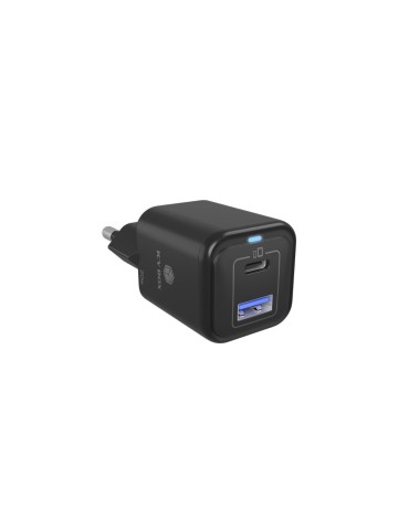 Icy Box 2 Port USB 20 W Schnellladegerät für Mobilgeräte 1x Type