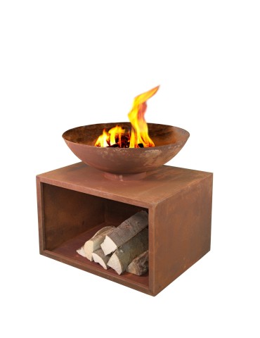 Planchagrill Rubigo rostoptik