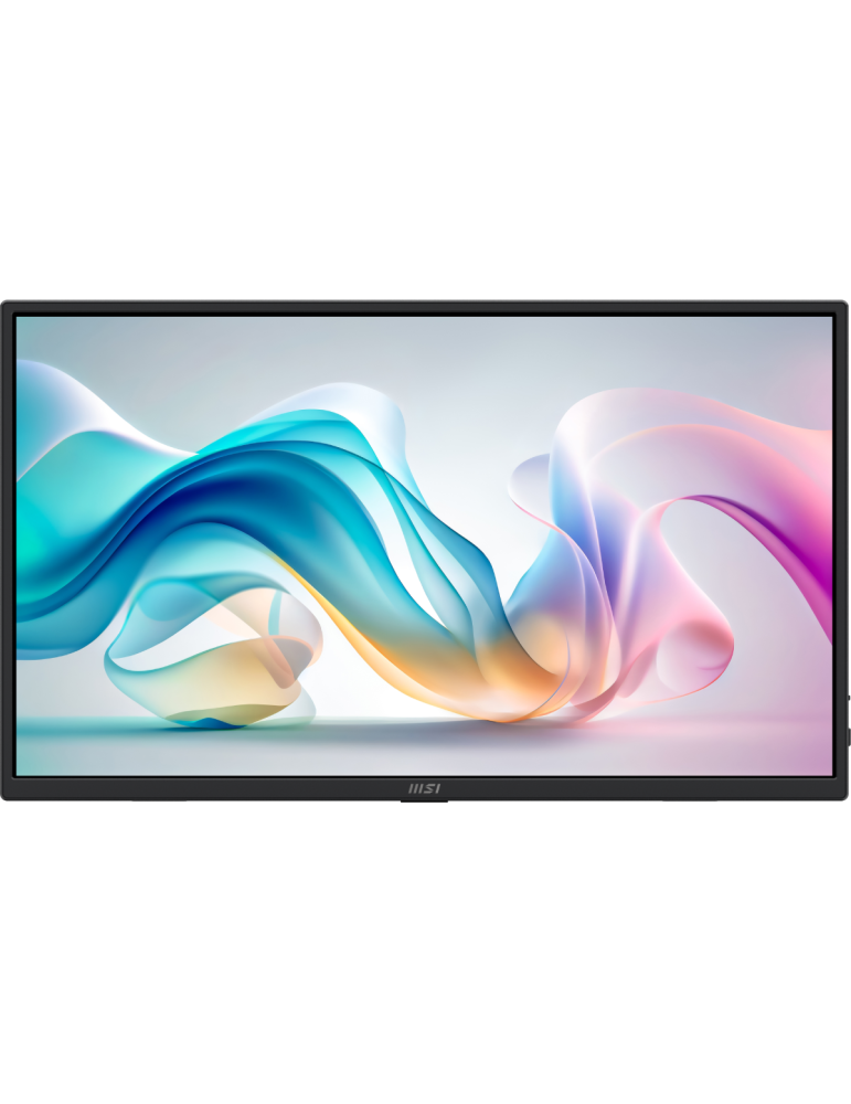 MSI PRO MP165DE E6 Tragbarer Monitor - 1920x1080 (FHD)