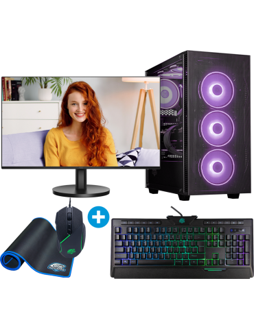 Entry Gaming Komplett-PC AR246