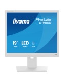 Iiyama B1980S-W1