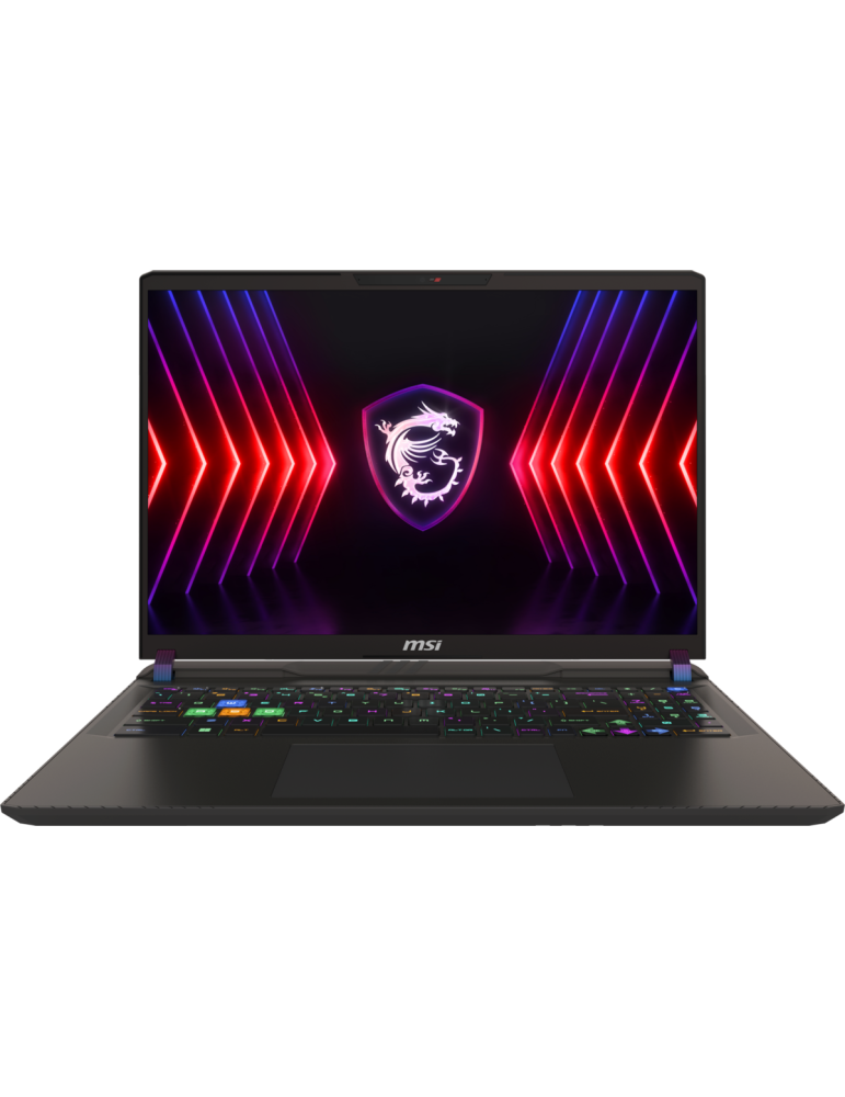 MSI Vector 16 HX A13VHG-459