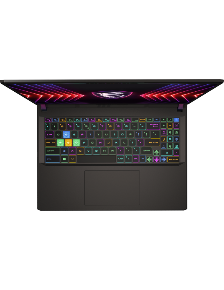 MSI Vector 16 HX A13VHG-459