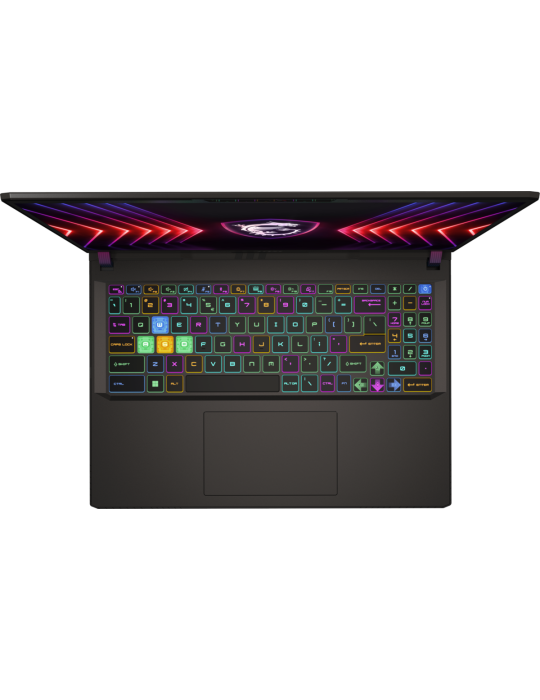 MSI Vector 16 HX A13VHG-459