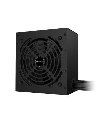 GigaByte P650G | PC-Netzteil