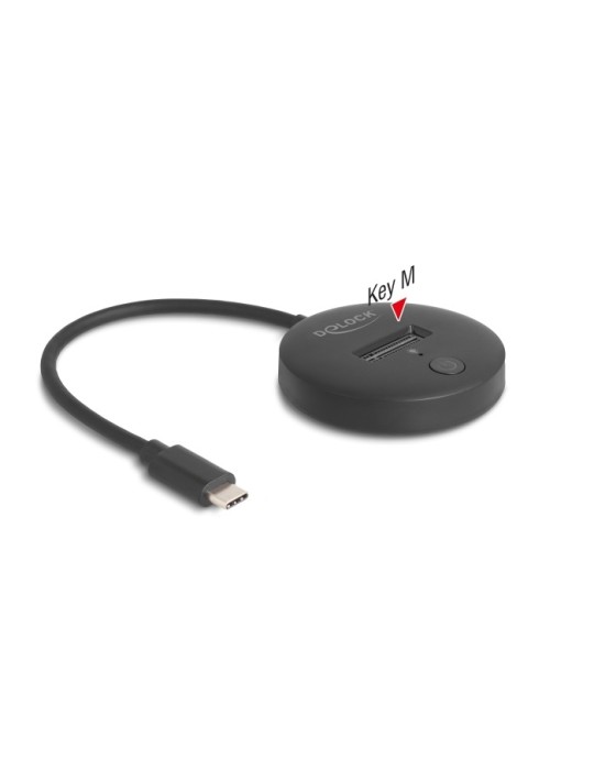 Delock M.2 Dockingstation für M.2 NVMe / SATA SSD mit USB 10 Gbps USB Type-C™ Stecker