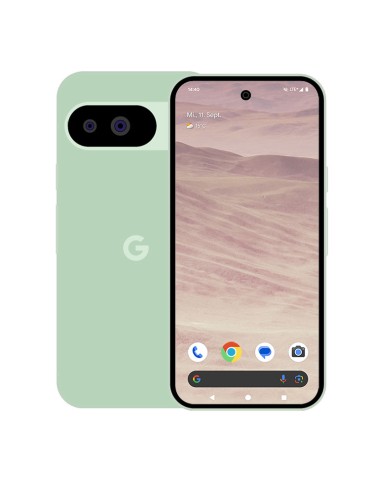 Google Pixel 9 256GB Wintergreen 16cm (6,3") OLED Display, Android 14 / Pixel UI, 50MP Dual-Kamera