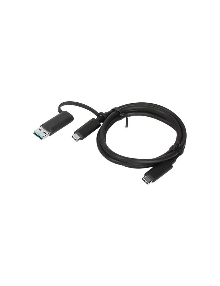 Lenovo Hybrid USB-C with USB-A Cable