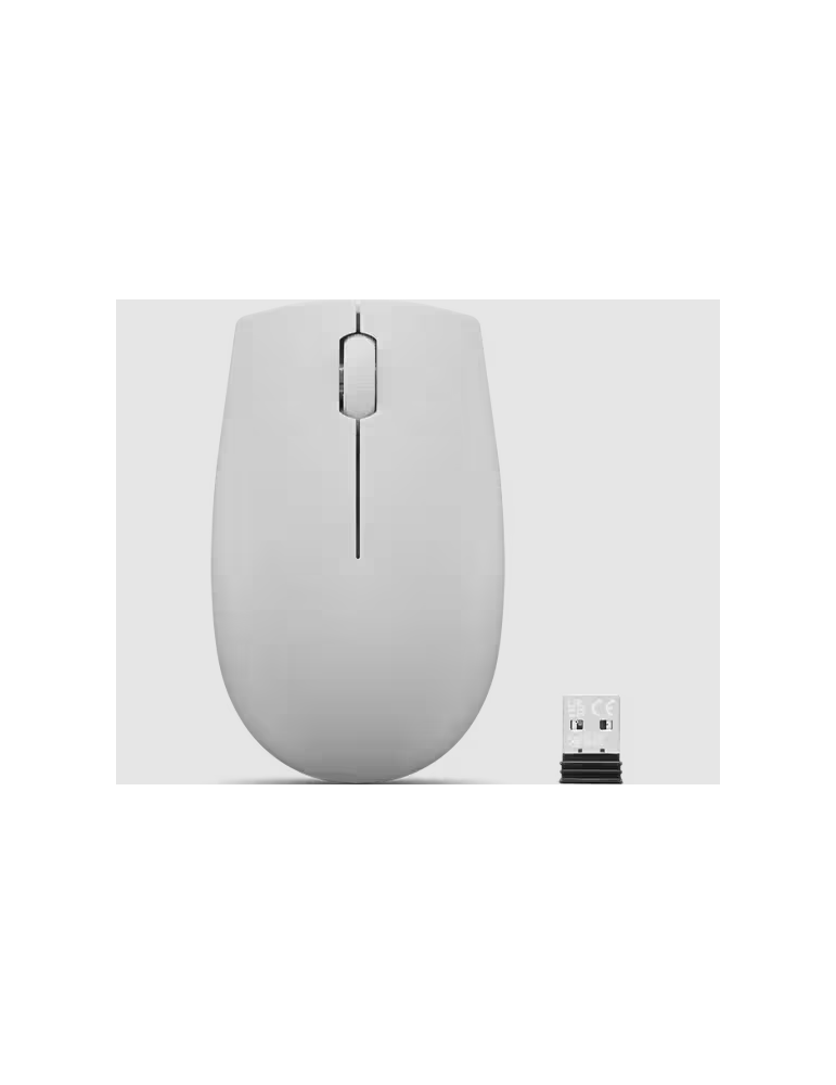 LENOVO 300 Kabellose Kompakte Maus, Arktis Grau