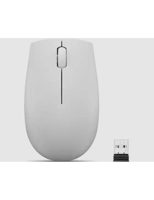 LENOVO 300 Kabellose Kompakte Maus, Arktis Grau