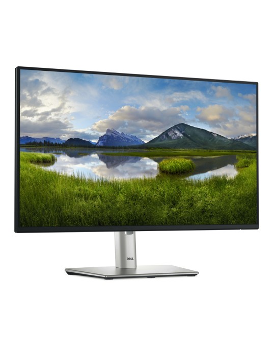 DELL P2425HE Office Monitor IPS-Panel, 61,13 cm (24,07 Zoll), LED, 1x HDMI, 2x DP, 1x LAN, USB-Hub