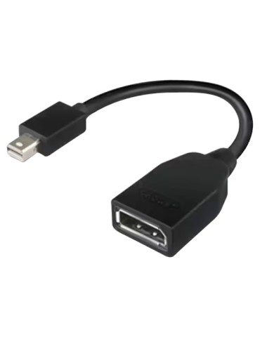 Lenovo Mini-DisplayPort (M) auf DisplayPort (F) | Adapter