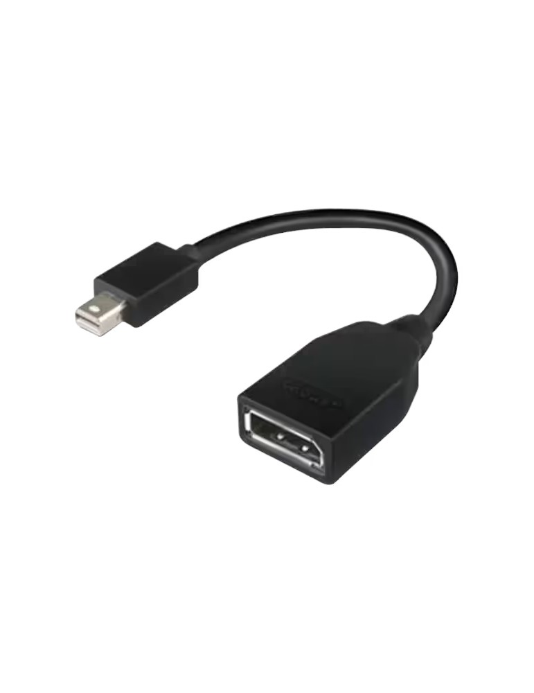 Lenovo Mini-DisplayPort (M) auf DisplayPort (F) | Adapter