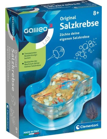 Galileo - Original Salzkrebse