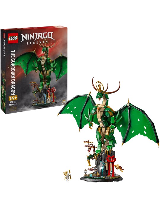 NIN Der Wächterdrache