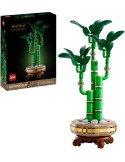 LGO Botanical Glücks-Bambus