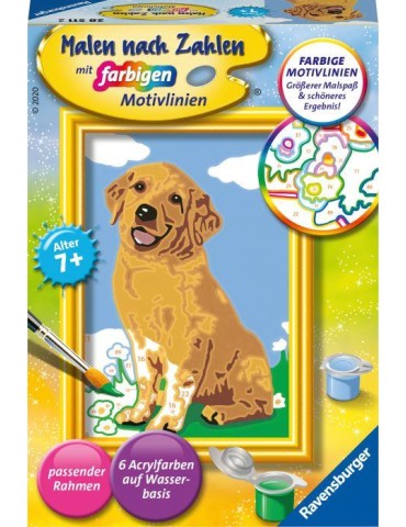 MnZ.Kleiner Golden Retriever