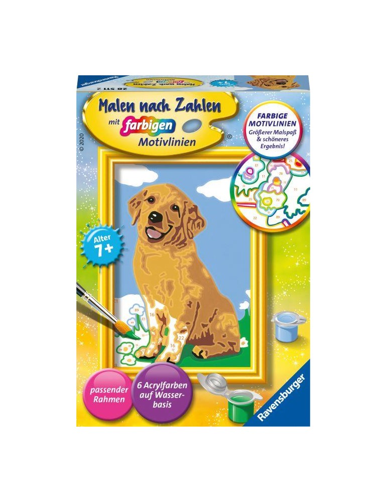 MnZ.Kleiner Golden Retriever