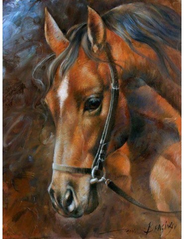 Diamond Painting Pferd 40x30 cm