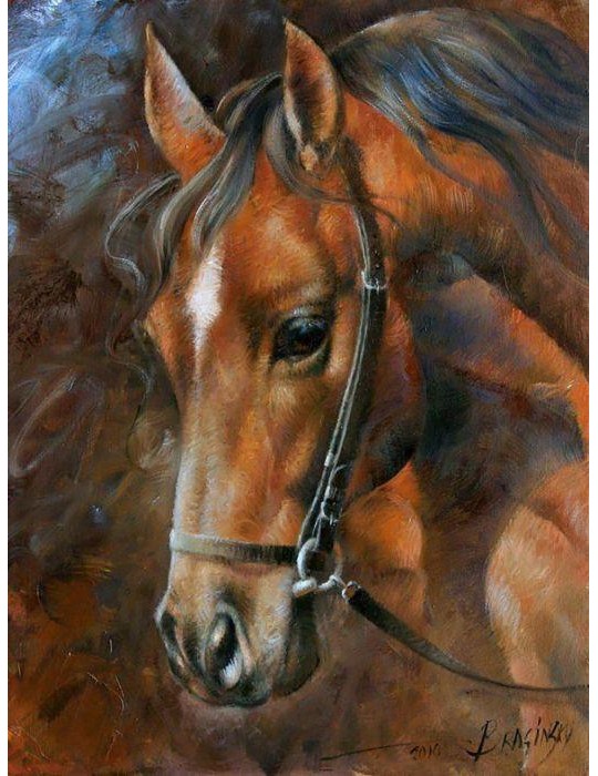 Diamond Painting Pferd 40x30 cm