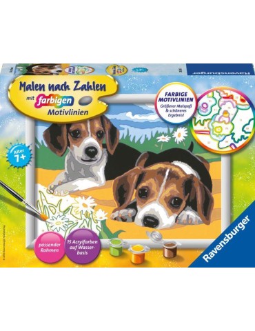 MnZ.Jack Russel Welpen