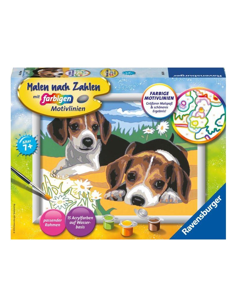 MnZ.Jack Russel Welpen