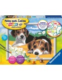 MnZ.Jack Russel Welpen