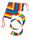 Einleinerdrachen Rainbow 97x58cm