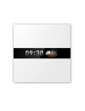 Aqara Display Switch V1