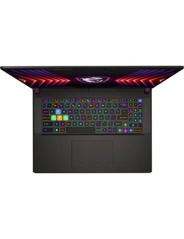 MSI Vector 17 HX A13VIG-673 2