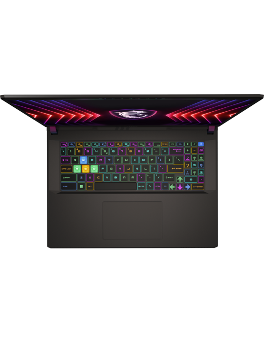 MSI Vector 17 HX A13VIG-673